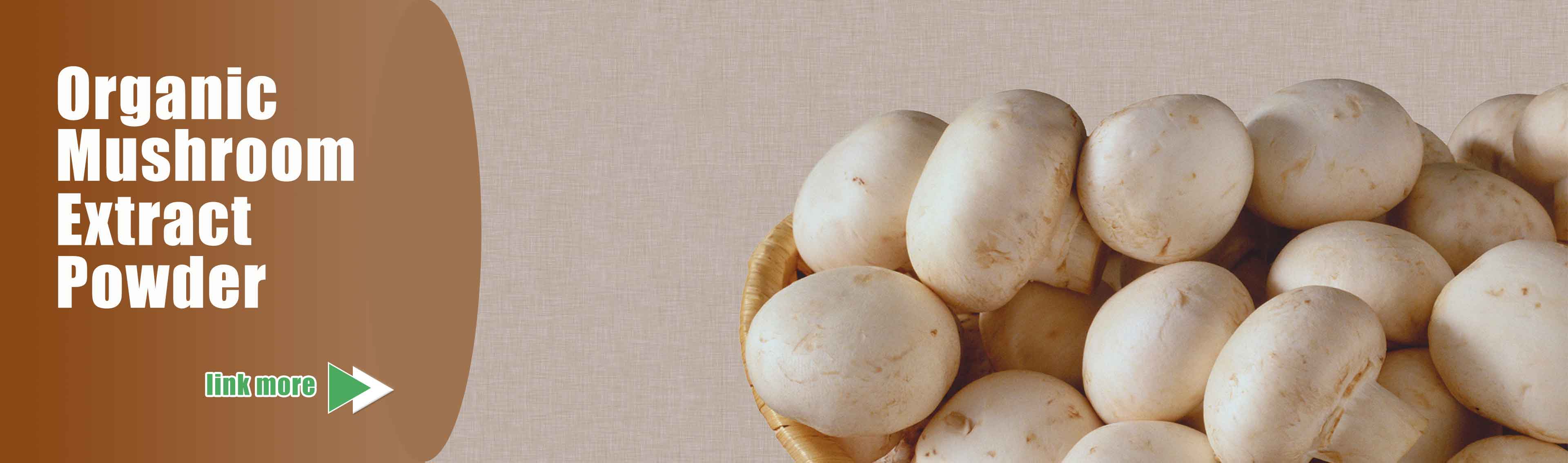 Organic Mushroom
